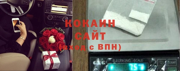 молекула духа Инсар