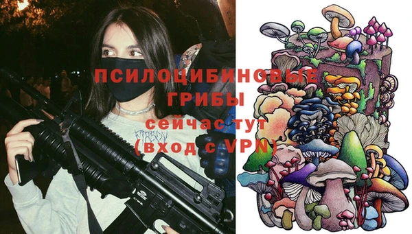 молекула духа Инсар