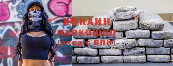 молекула духа Инсар