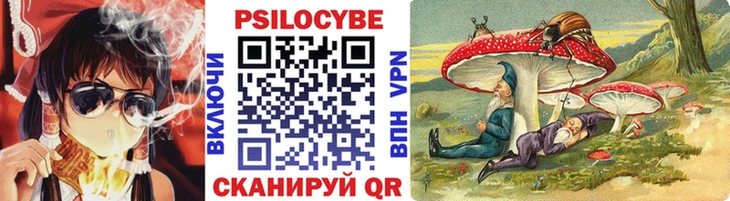 Купить где  Кудрово  Псилоцибиновые грибы Magic Shrooms 